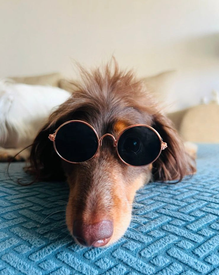 Cool Shades