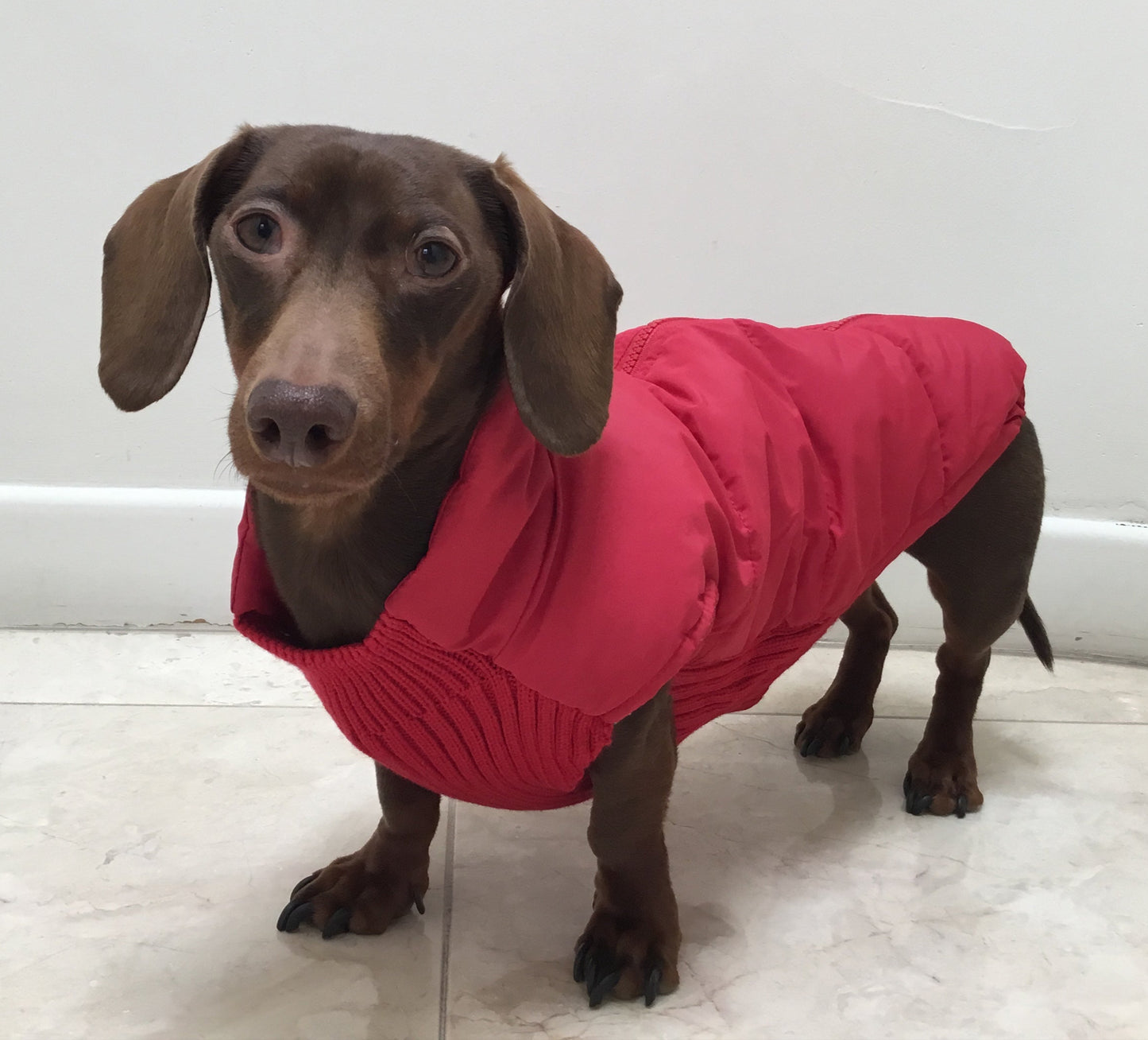 Wind-Proof Wiener Jacket