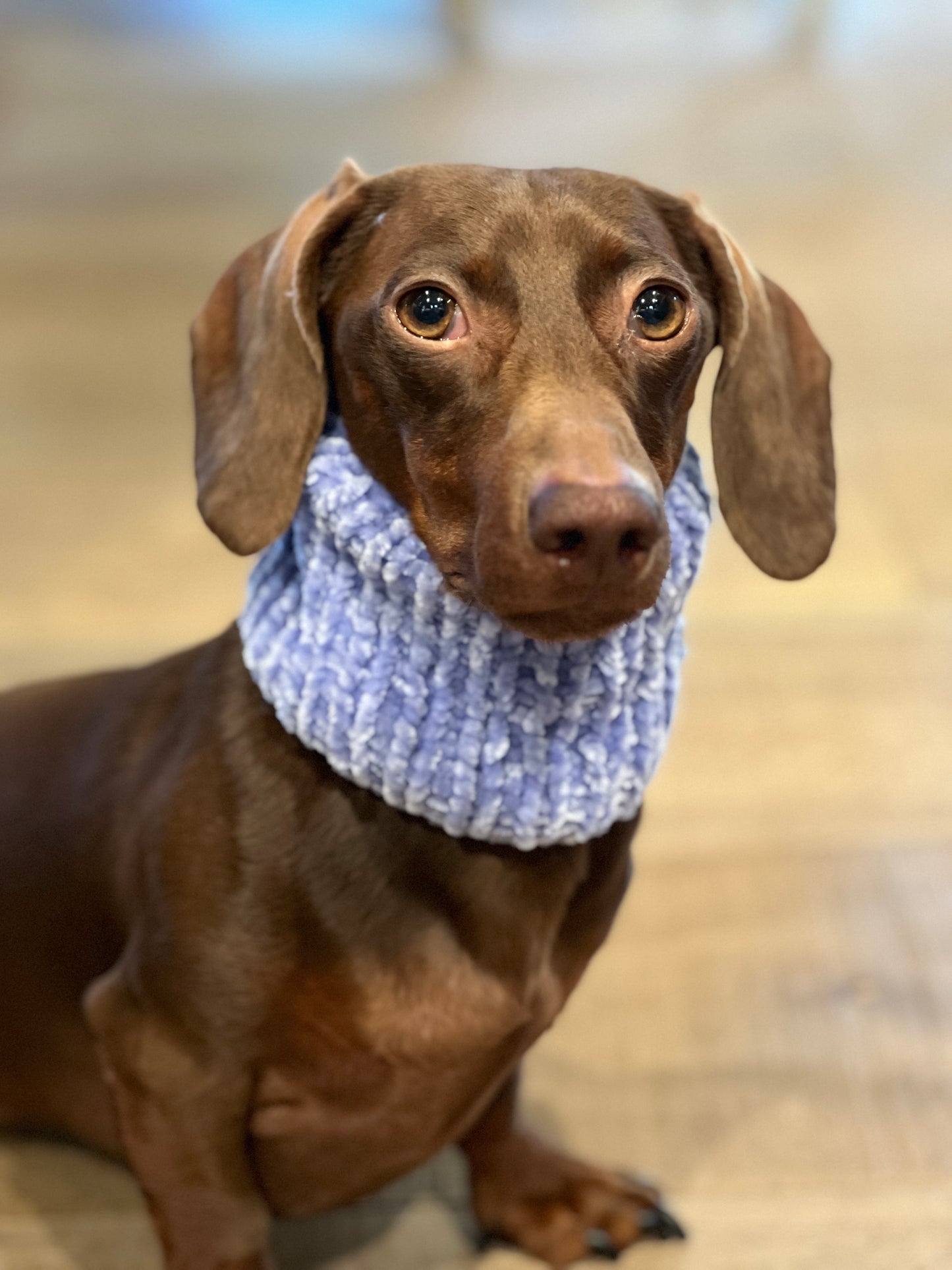 Velvet Infinity Scarf
