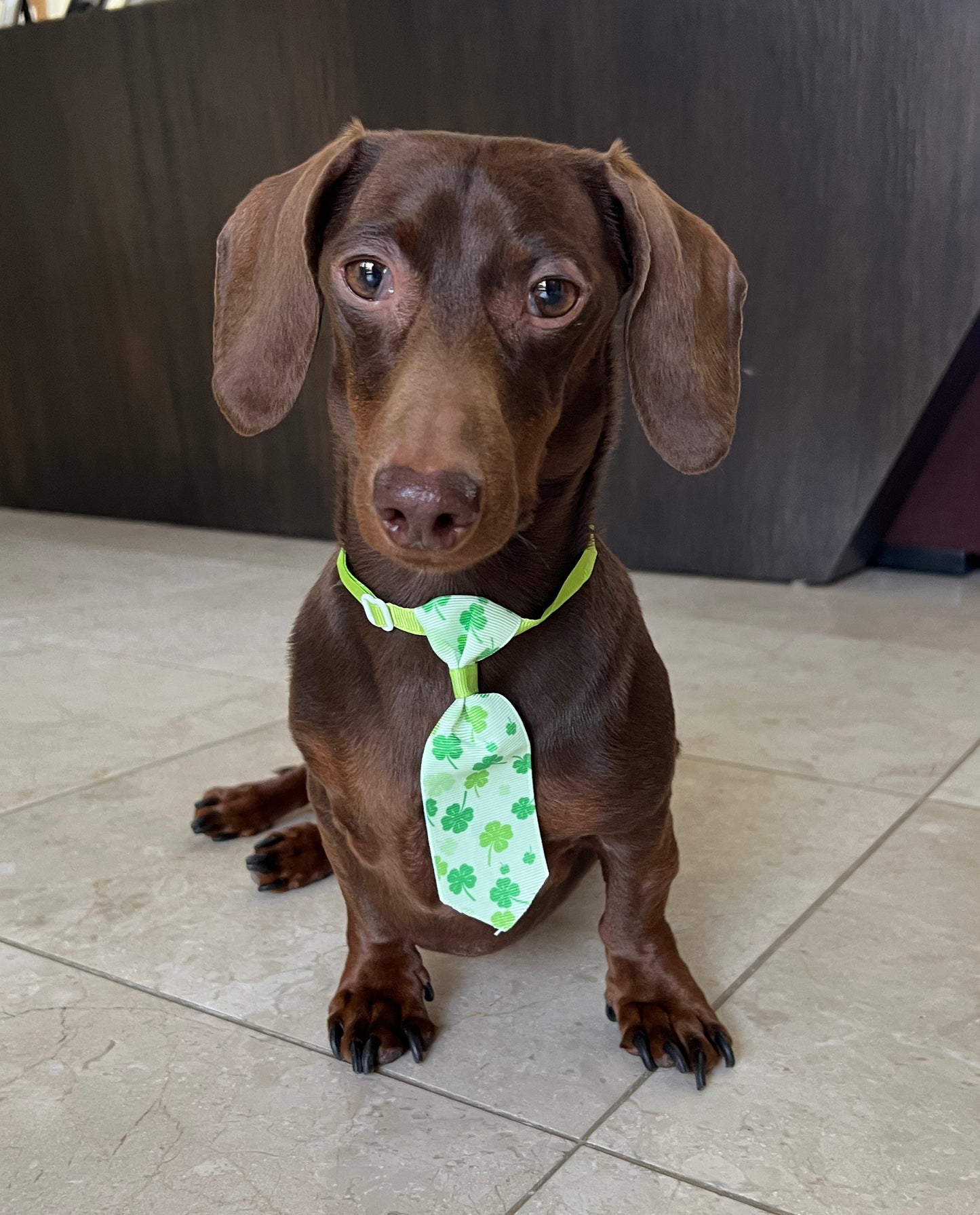 Lucky St Patrick's Day Neck Tie