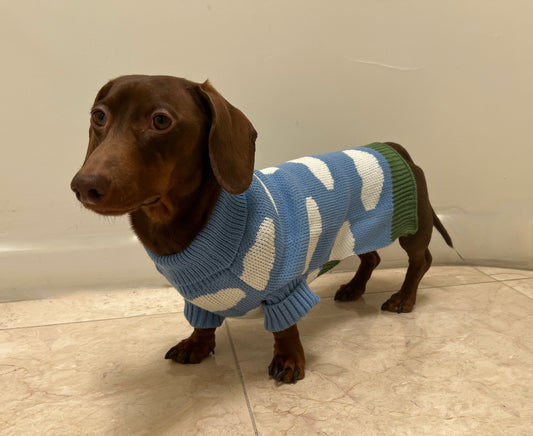 Spring Sky Sweater