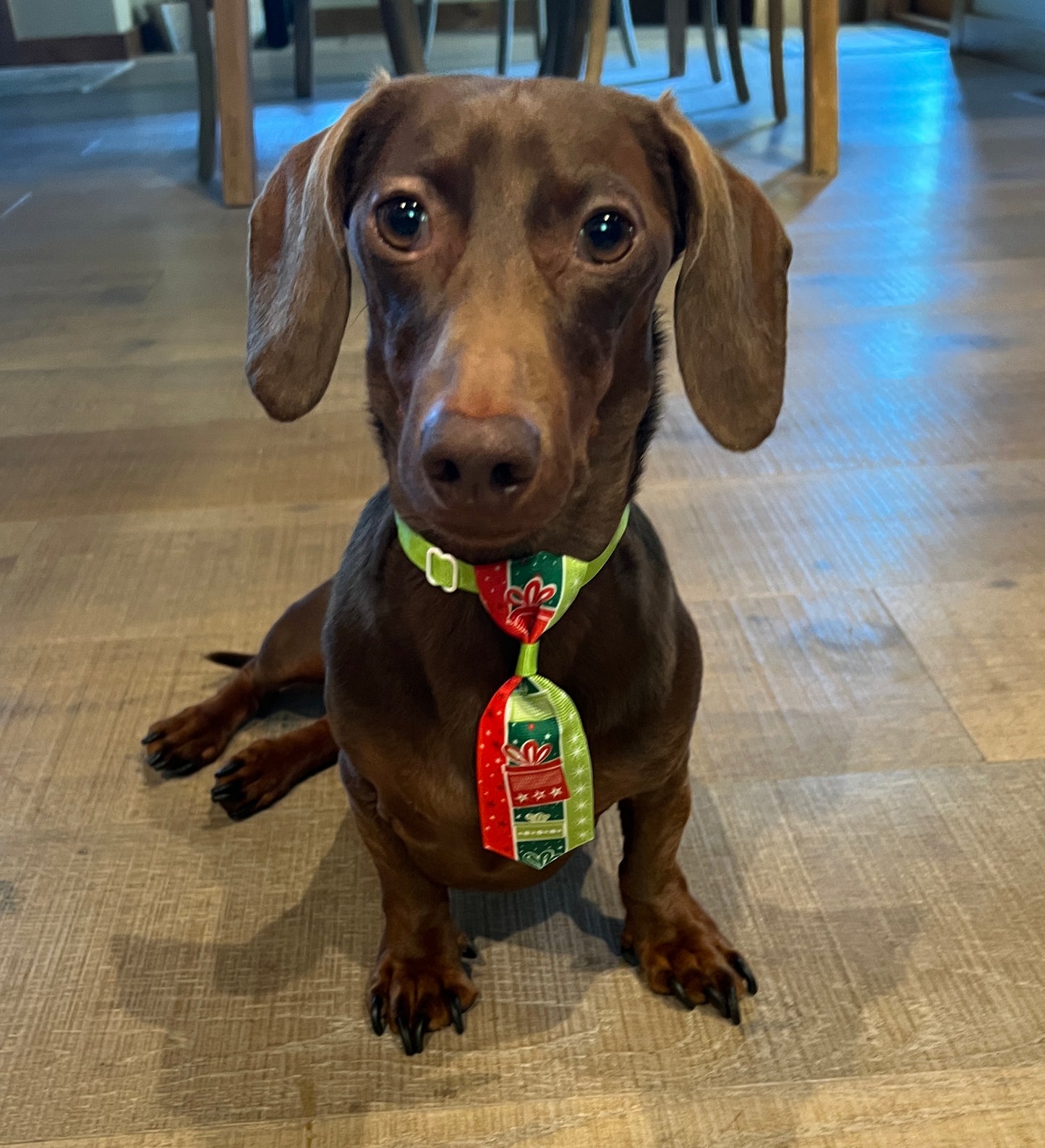 Holiday Tie