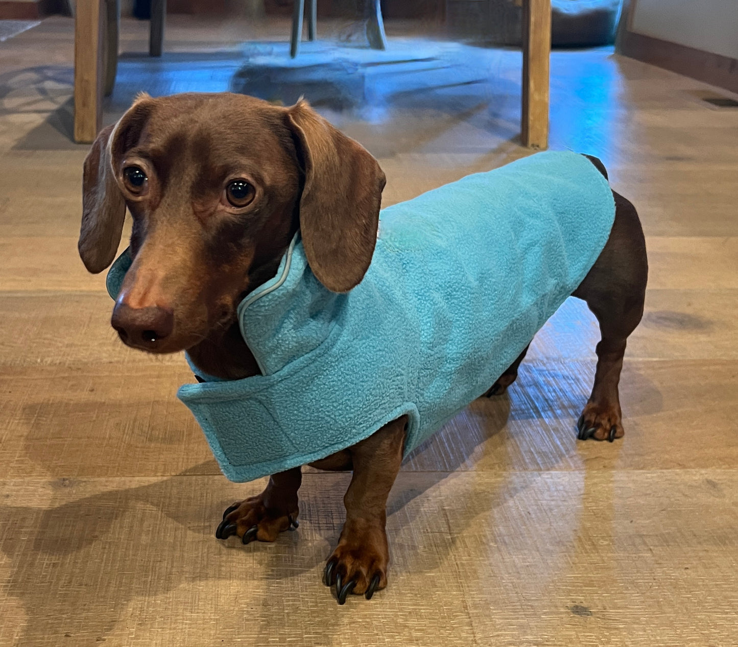 Fleece Vest