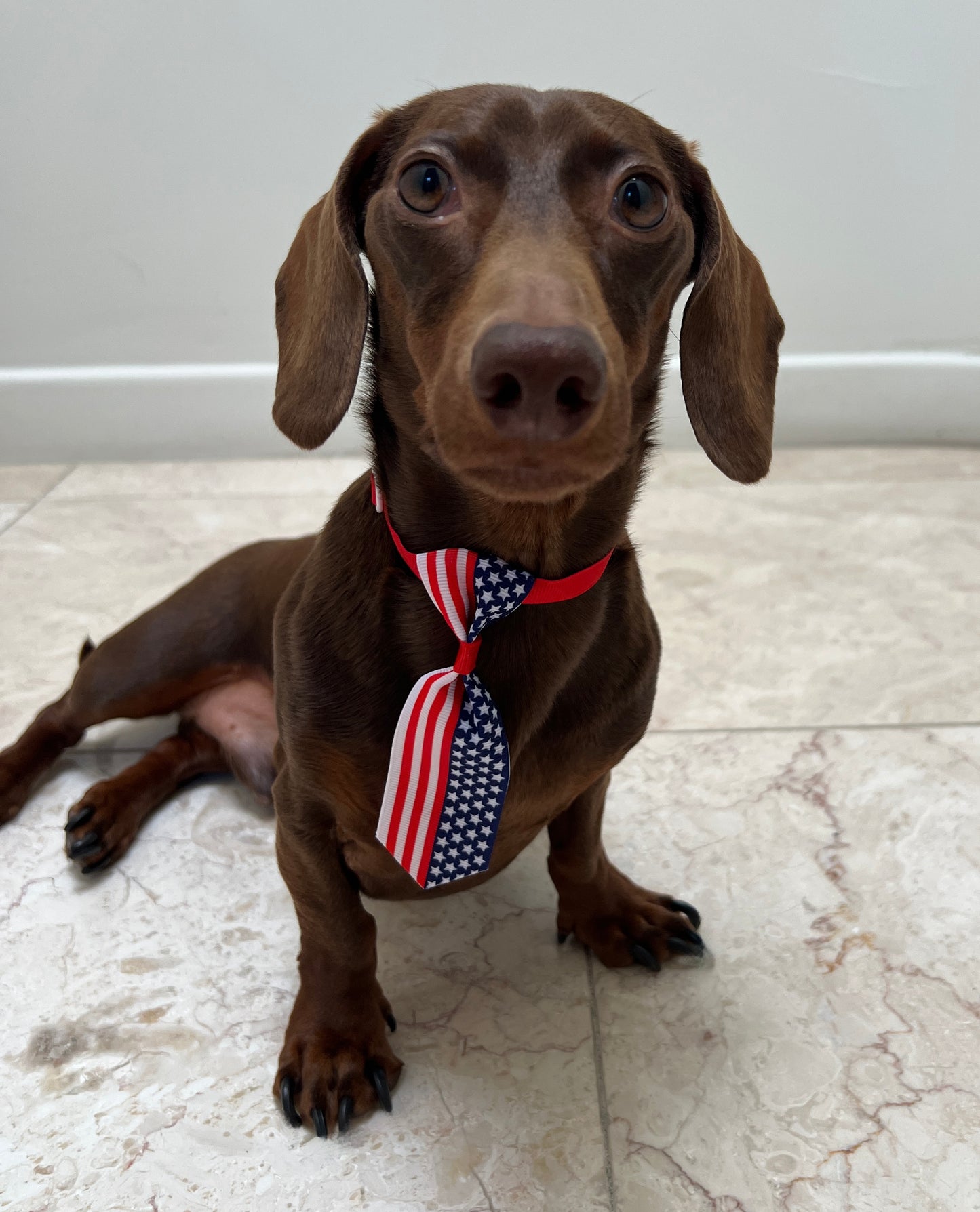 Summer Holiday Necktie
