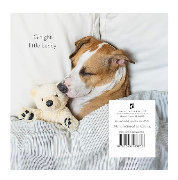 Puppies in Pajamas Book