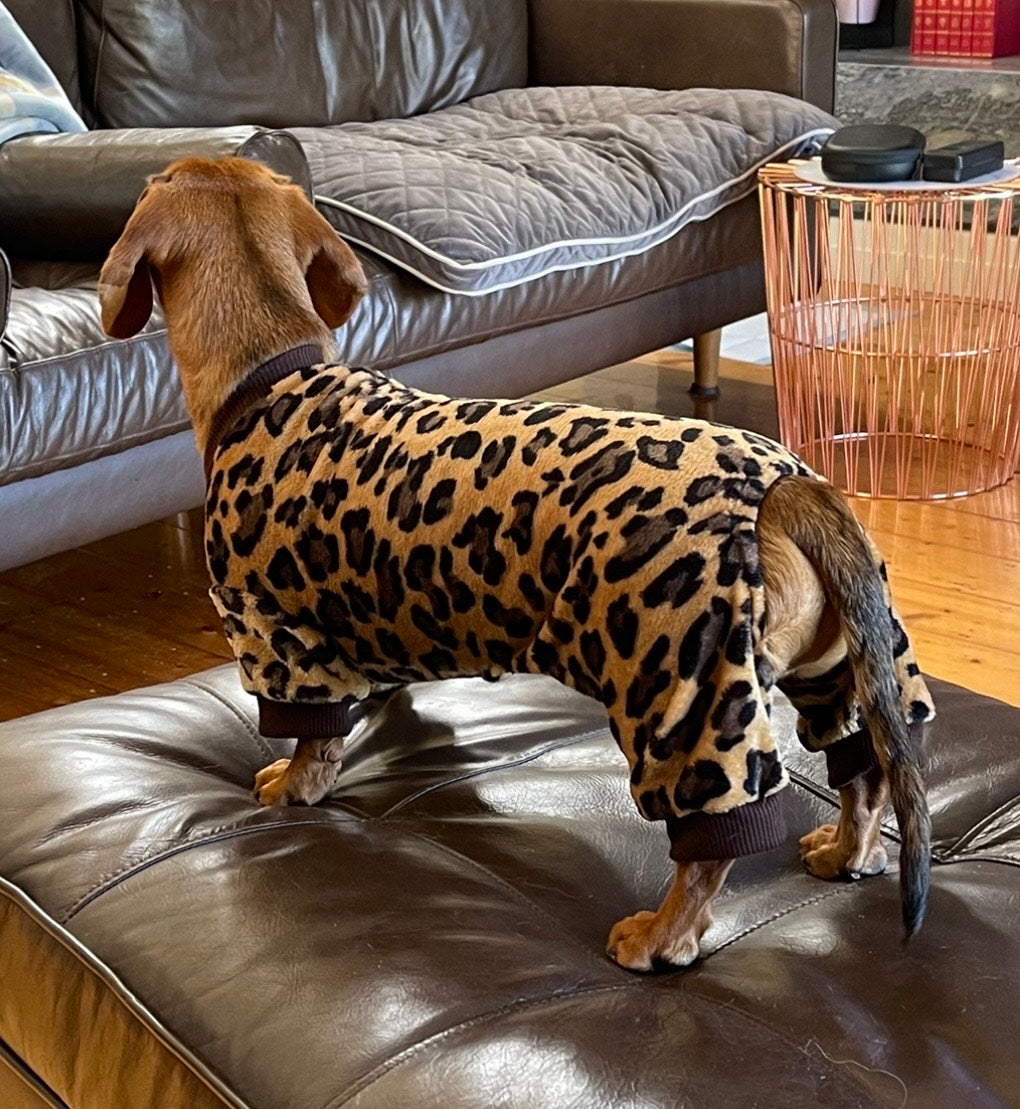 Leopard Jams