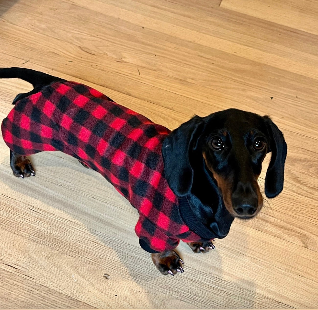 Red Buffalo Plaid Jams