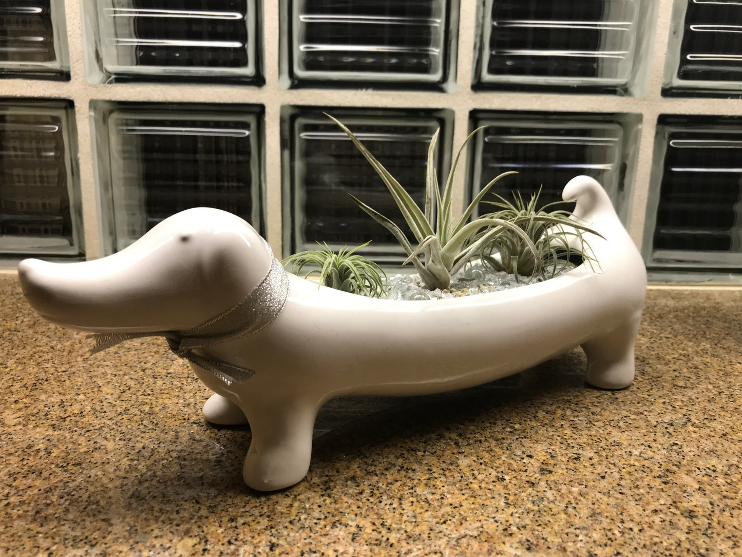 Dolomite Dachshund Planter Dish
