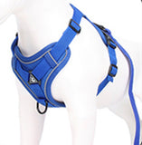 The Ultimate Dachshund Harness