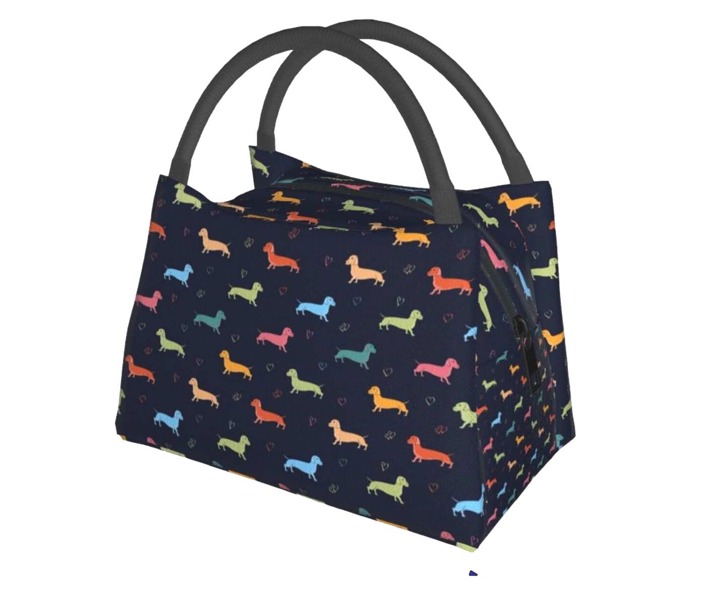 Black Multicolor Cooler Bag