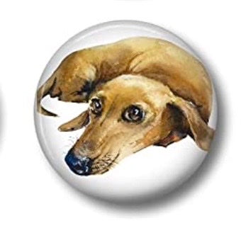 1.75" Round Dachshund Magnets