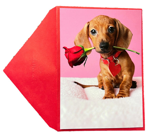Little Wiener Valentine's Day Card