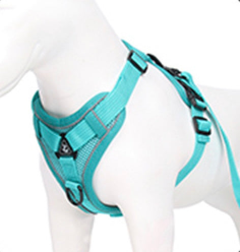 Colorful Dachshund Harness