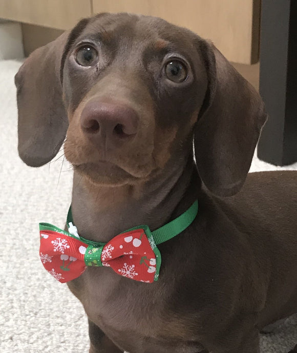 Holiday Bow Tie