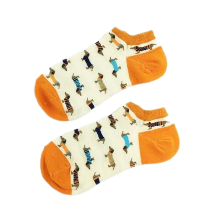Orange Dachshund Summer Socks