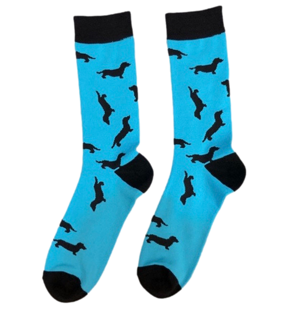 Aqua Dachshund Socks