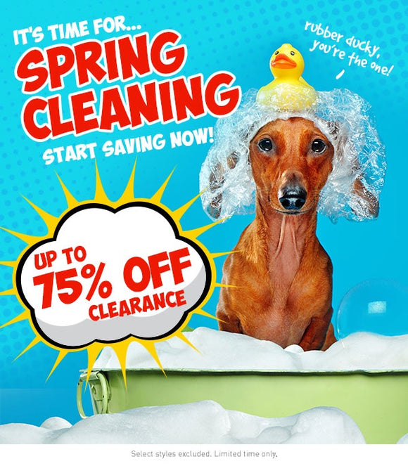 Spring Cleaning Sale