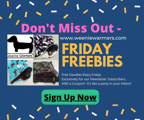 Friday Freebie