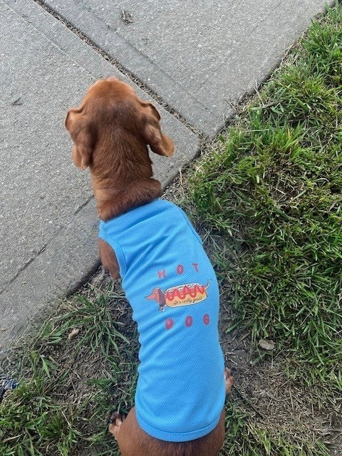 Summer Tees