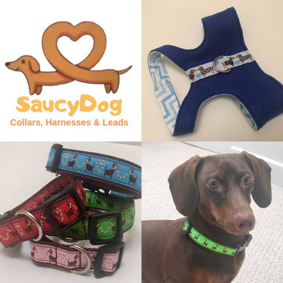 SaucyDog Logo