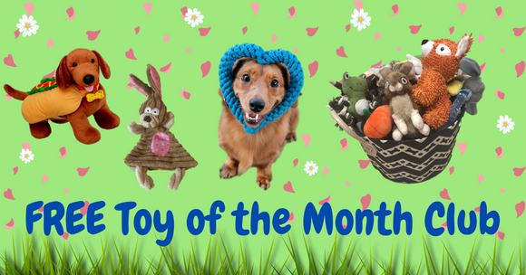 Free Toy of the Month Club