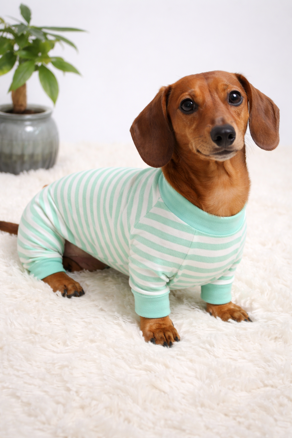 Striped Summer Jams