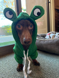 Frog Party Hoodie