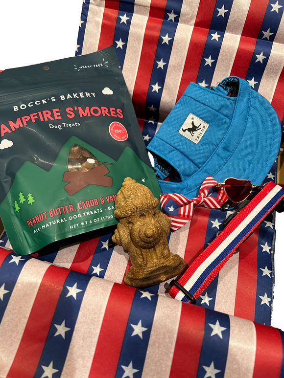 Special Edition July 4th Treat Box