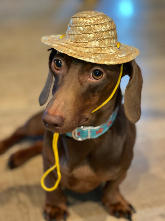 Straw Beach Hat