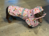 Party Dachshund Rain Gear