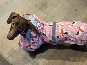 Party Dachshund Rain Gear