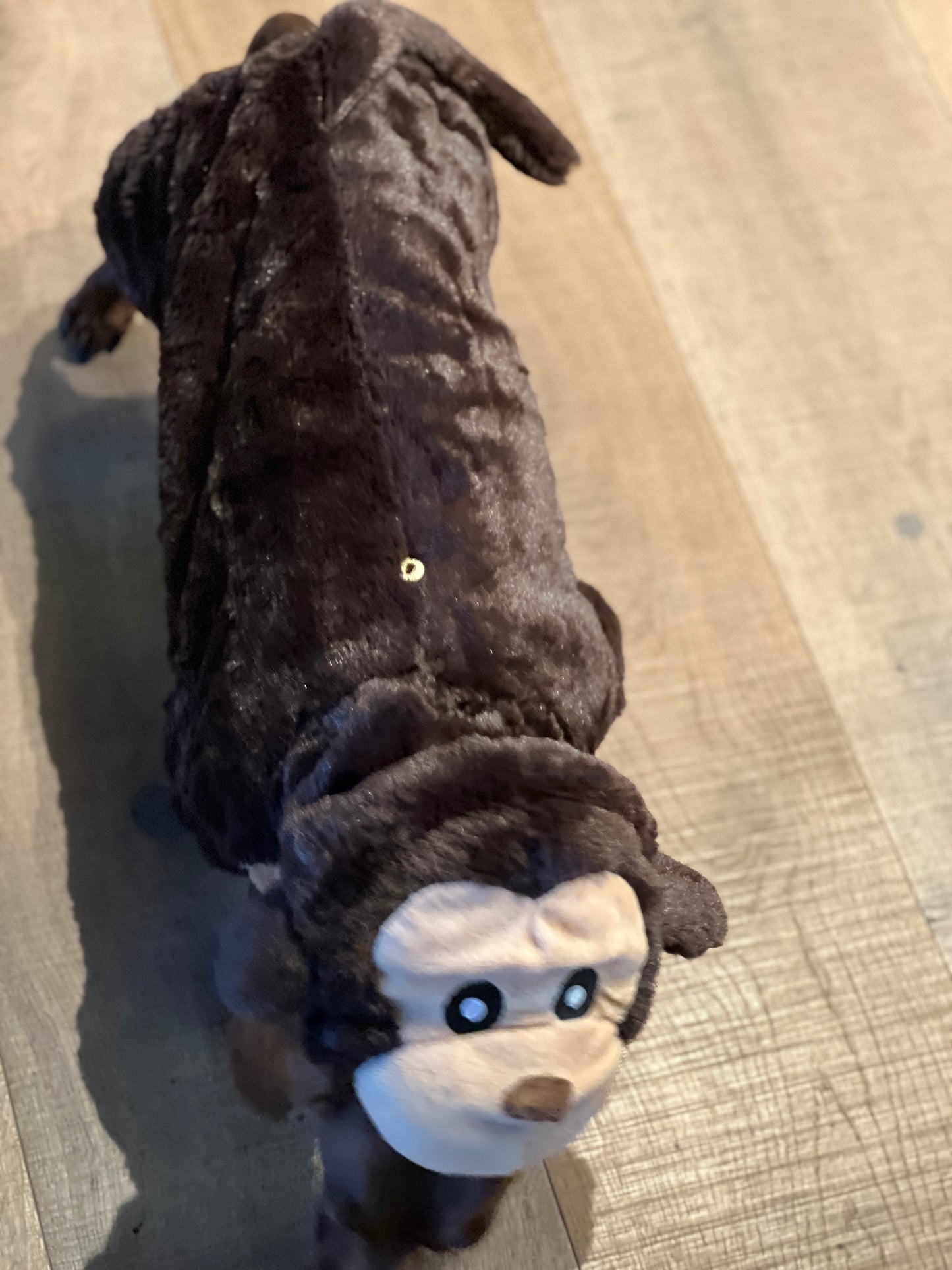 Plush Monkey Costume (Fits dogs 10-13 lbs)