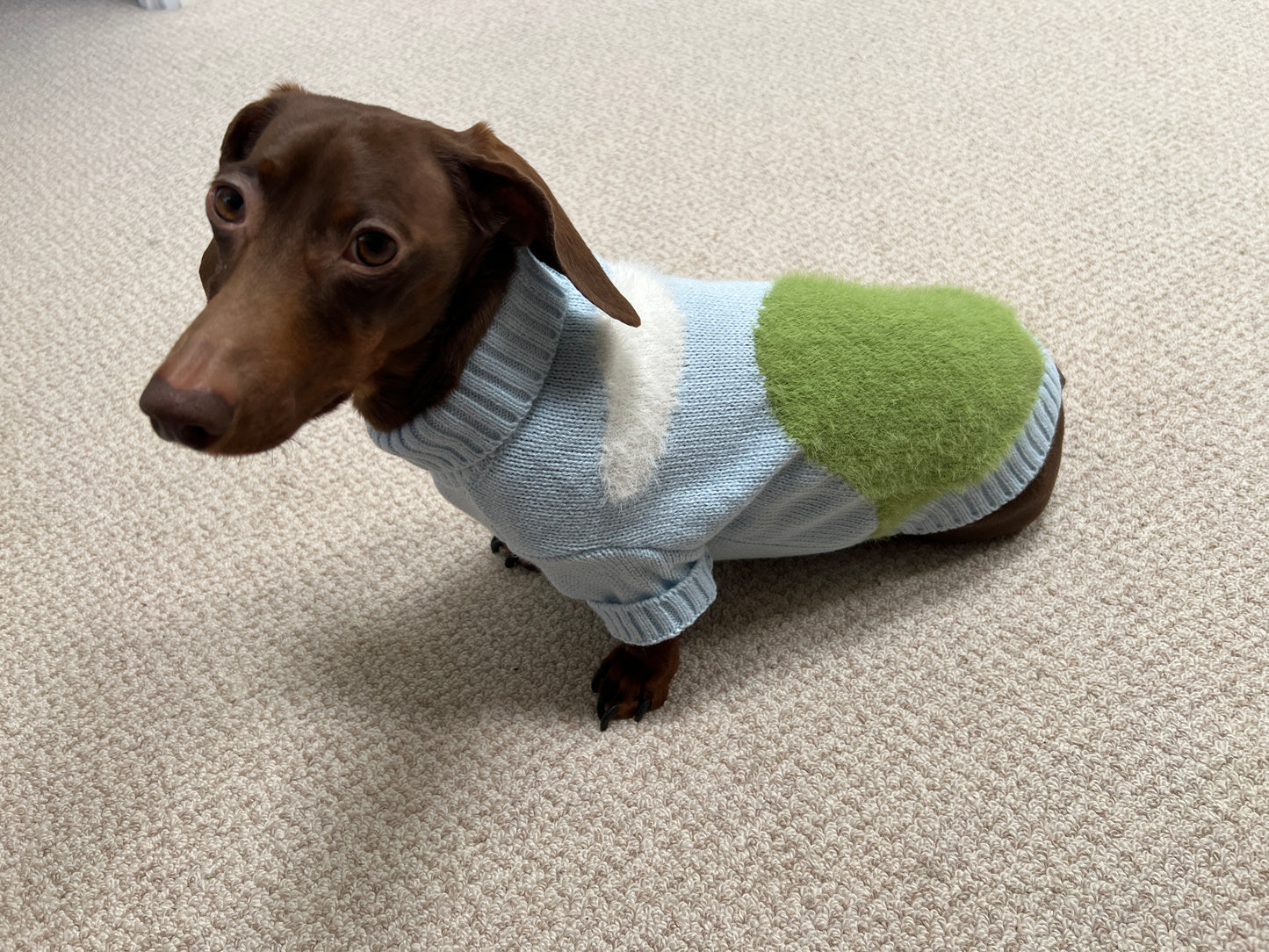 Fluffy Clouds Sweater (Final Sale)