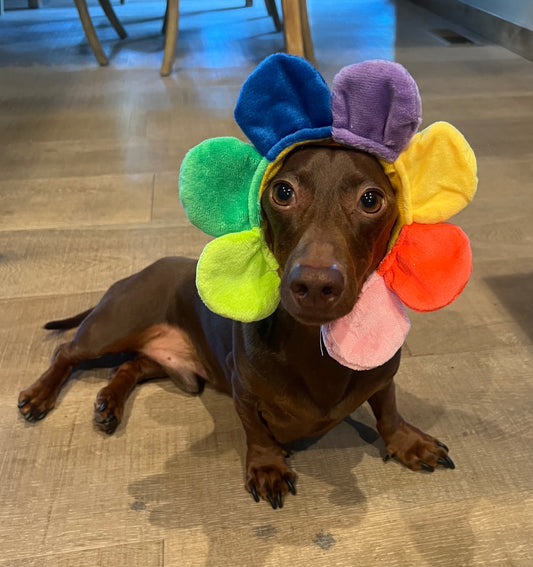 Flower Hat