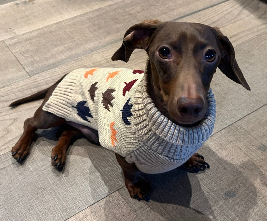 Fall Leaves Sweater