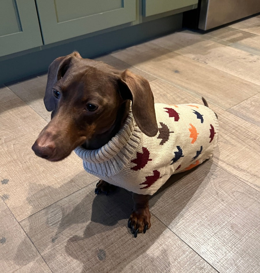Fall Leaves Sweater