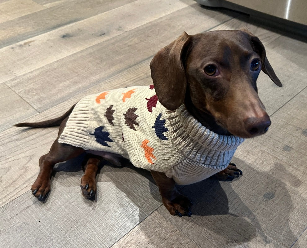 Fall Leaves Sweater