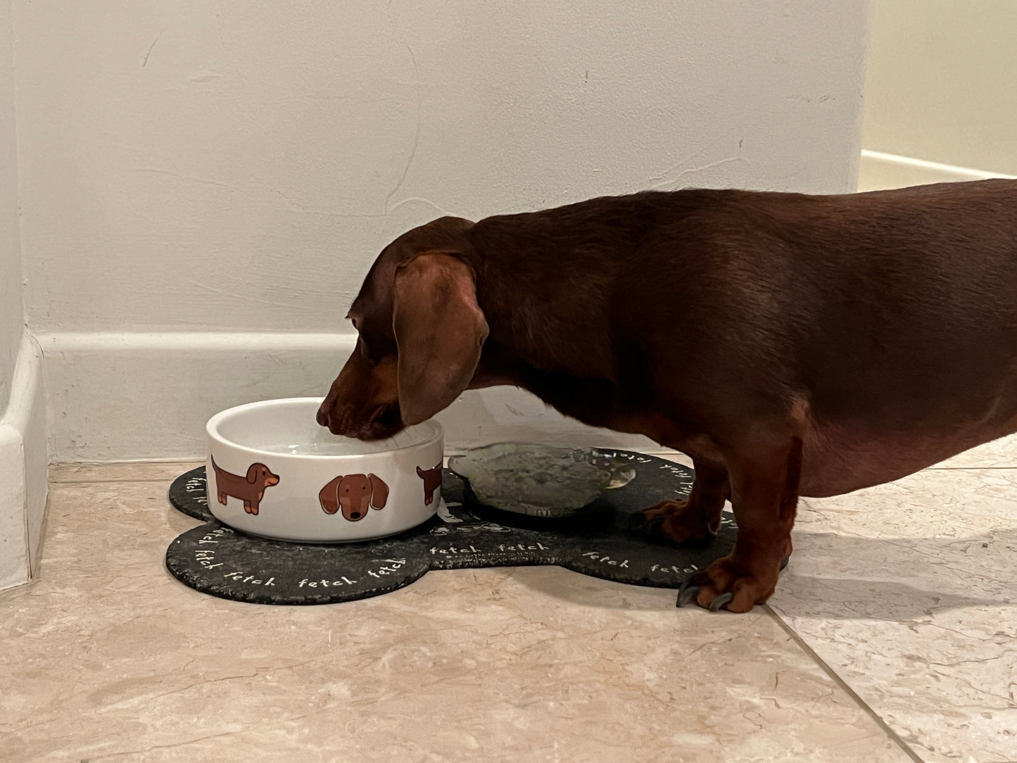 Multi-Dach Dog Bowl
