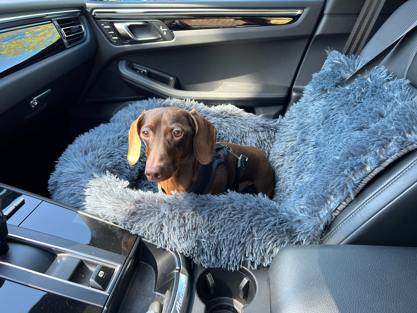 POOF! Calming Car Seat