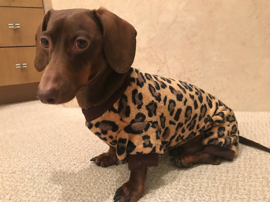 Leopard Jams