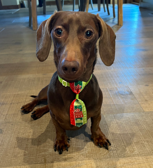 Holiday Tie