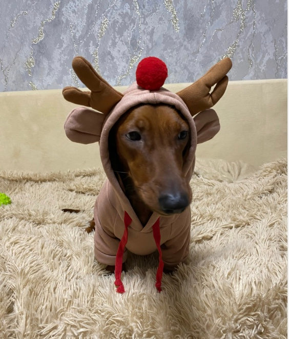Rudolph Reindeer Party Hoodie