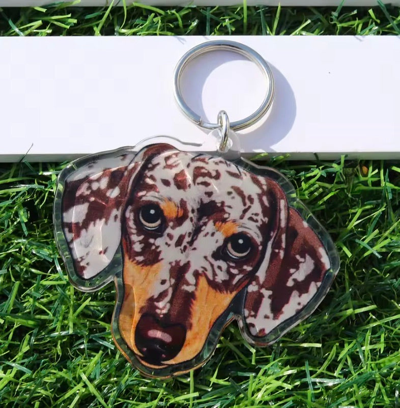 Acrylic Dachshund Key Chain
