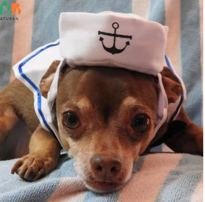 Sailor Costume