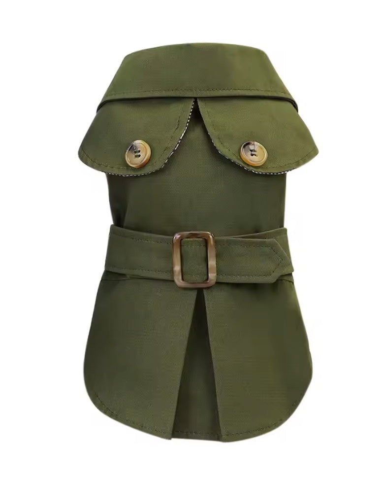 Rainy Day Trench