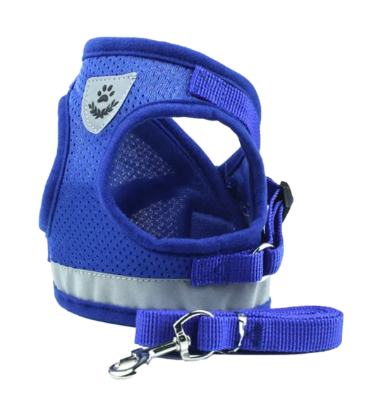 Houdini Weenie No-Escape Harness (Final Sale)