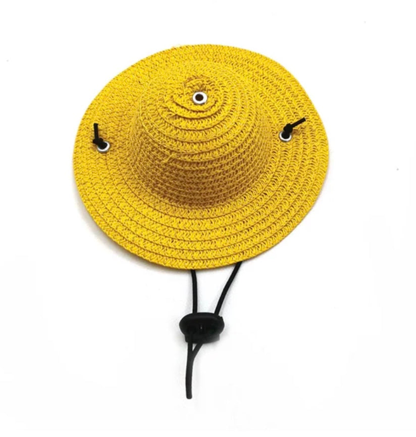 Summer Straw Hat - Available in 5 Colors