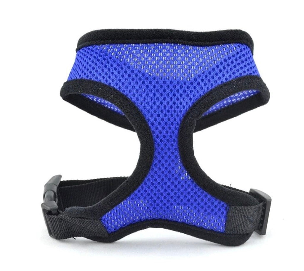 Over-the-Head Harness (Final Sale)