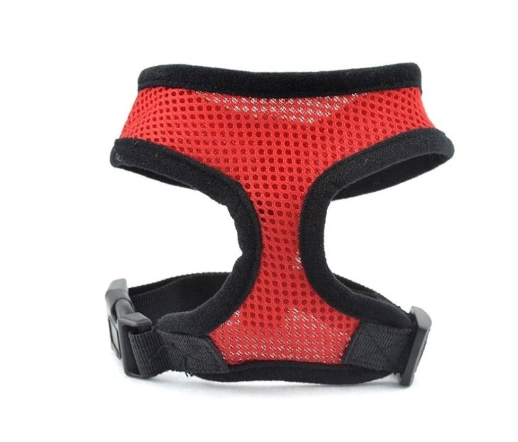 Over-the-Head Harness (Final Sale)