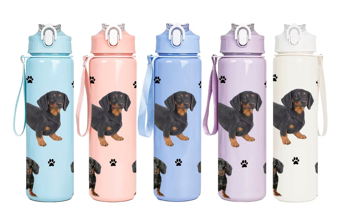 Dachshund Water Bottle